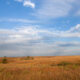On The Road - Albatrossity - Fall Colors in Flyover Country 1