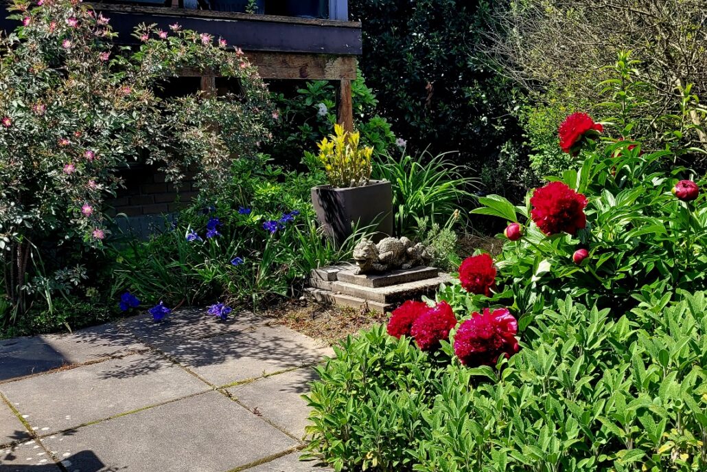 Sunday Morning Garden Chat:  Pacific Northwest Summer