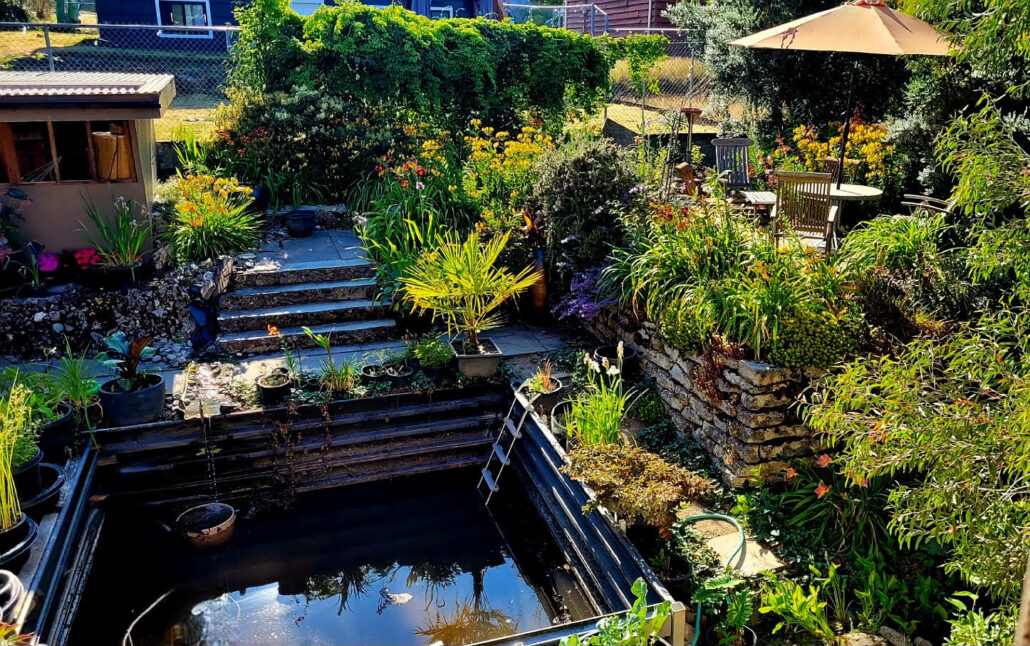 Sunday Morning Garden Chat:  Pacific Northwestern Summer