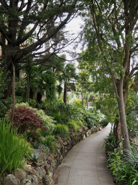 Sunday Morning Garden Chat: San Francisco Street Gardens 11
