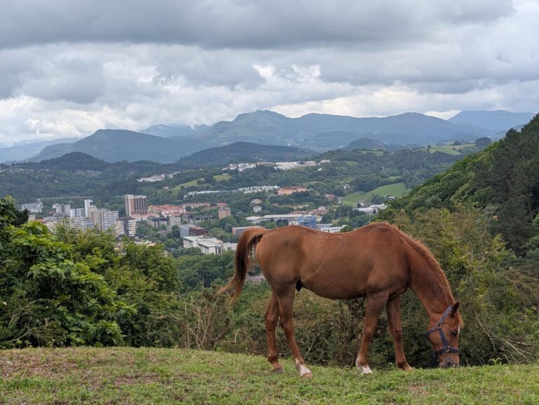 On The Road - Ama de Casa - Mount Igeldo