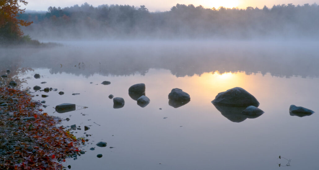 On The Road - JanieM - Fall Color 8