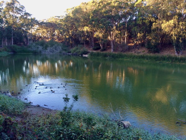 On The Road - dmkingto - Pine Lake Park / Stern Grove Pt. 1 5