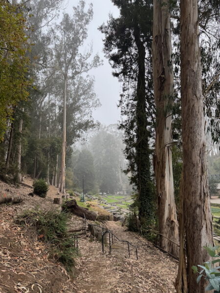 On The Road - dmkingto - Pine Lake Park and Stern Grove Pt. 2 3