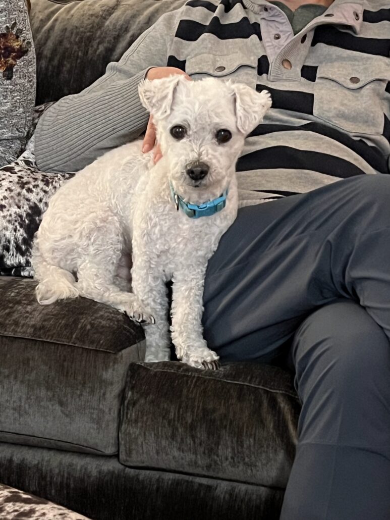 World Series 2025 – Game 5! 1