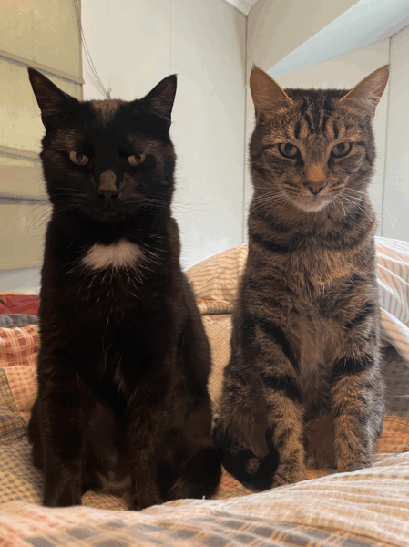 Thursday Night Open Thread 31