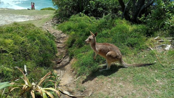 On The Road - Viva BrisVegas - Out and about Brisbane