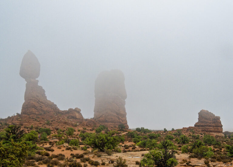 On The Road - Albatrossity - Moab to Escalante - On the Trail of the Monkey Wrench Gang 8