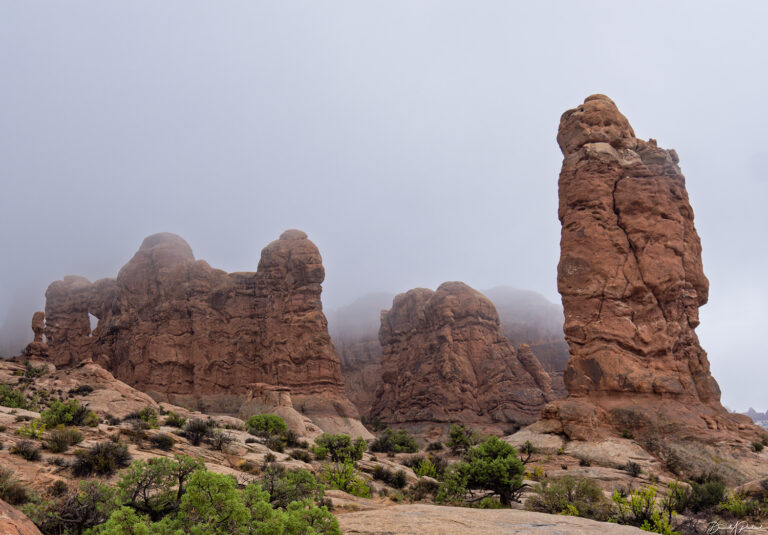 On The Road - Albatrossity - Moab to Escalante - On the Trail of the Monkey Wrench Gang 5