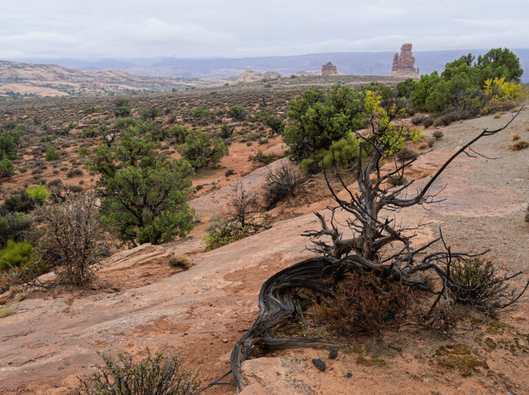 On The Road - Albatrossity - Moab to Escalante - On the Trail of the Monkey Wrench Gang 6