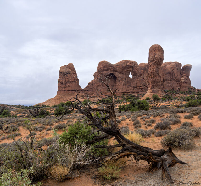 On The Road - Albatrossity - Moab to Escalante - On the Trail of the Monkey Wrench Gang 2