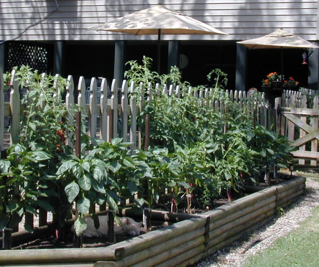 Step Right Up &ndash; Are These Your Pet Pics? 2