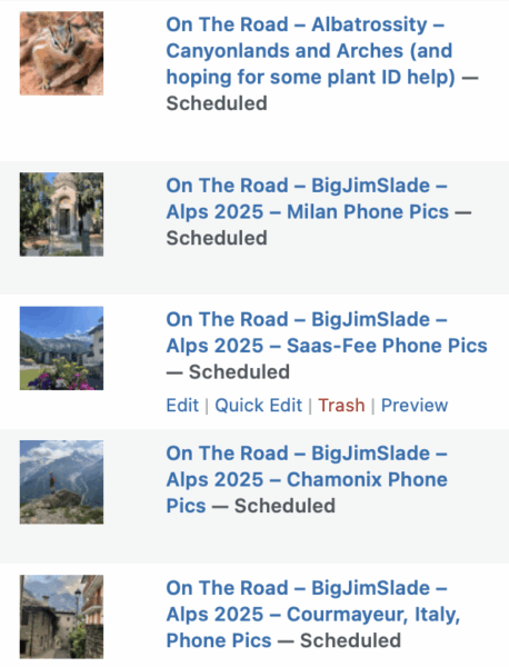 On The Road - Albatrossity - Canyonlands and Arches (and hoping for some plant ID help) 10
