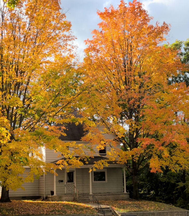 Sunday Morning Garden Chat: Fall Color 4