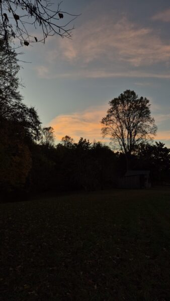 Sunday Morning Garden Chat: Winding Down in Tennessee 14