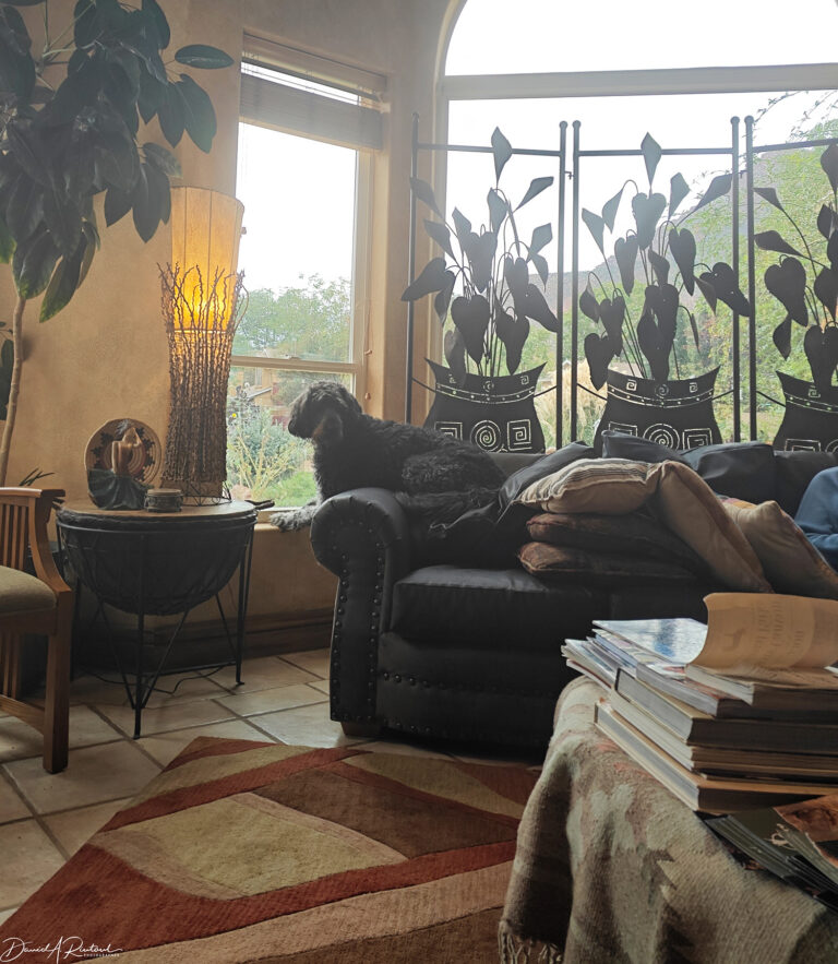 On The Road - Albatrossity - Parowan Petroglyphs and Zion National Park 4