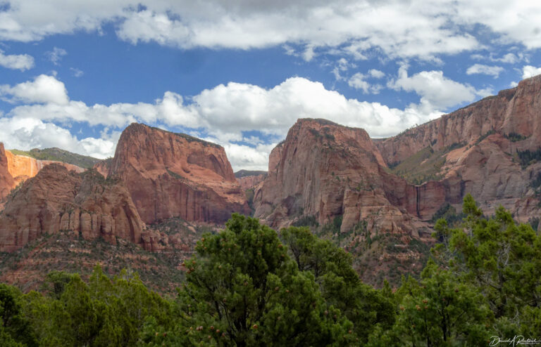 On The Road - Albatrossity - Parowan Petroglyphs and Zion National Park 6