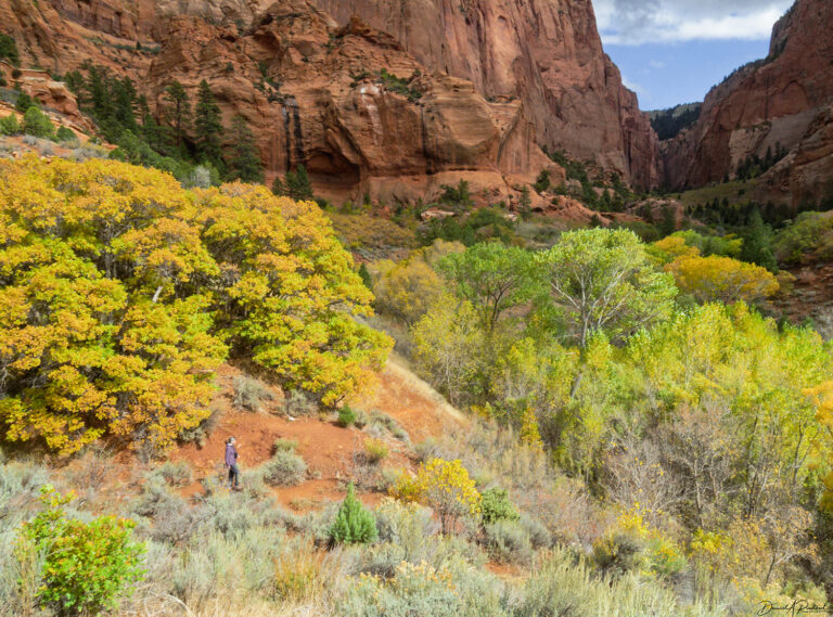 On The Road - Albatrossity - Parowan Petroglyphs and Zion National Park 5