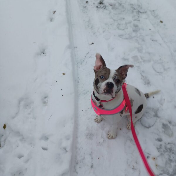 Question for the Hive Mind