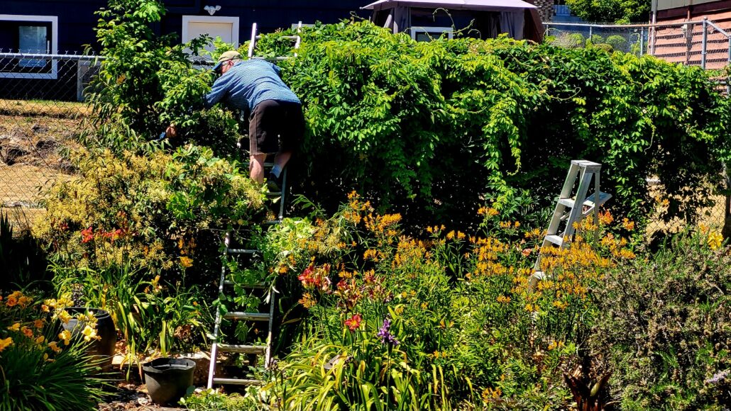 Sunday Morning Garden Chat: Garden Goofs & Miscues 10