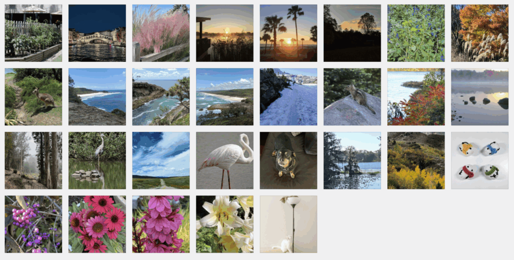 Taking a Break from the News 16