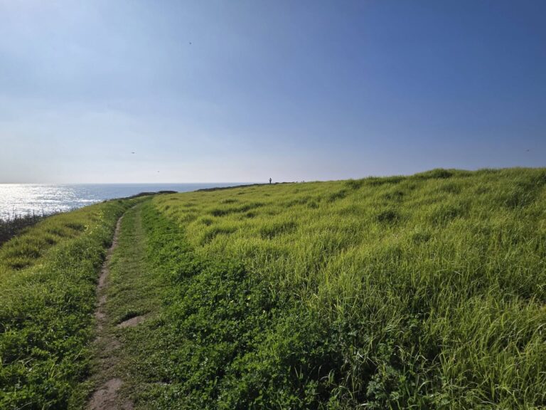 On The Road - Winter Wren - Santa Cruz: Wilder Ranch (1 of 2) 5