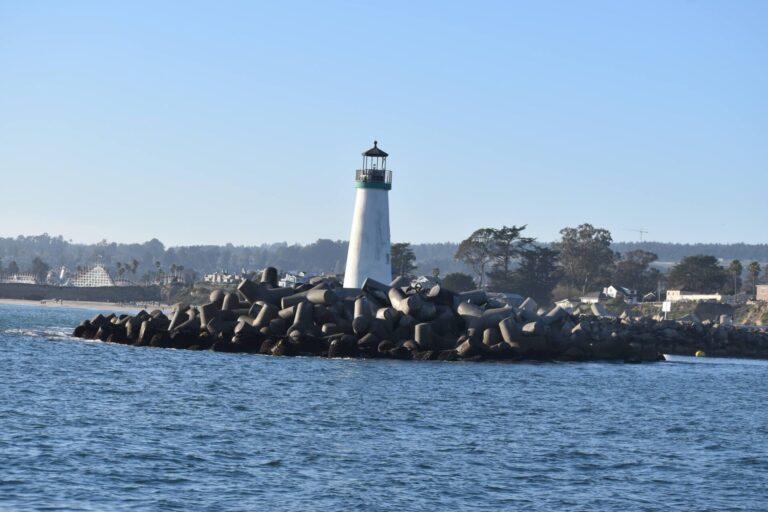 On The Road - Winter Wren - Santa Cruz: Whale Watch 8