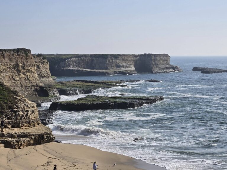 On The Road - Winter Wren - Santa Cruz: Wilder Ranch (1 of 2) 2