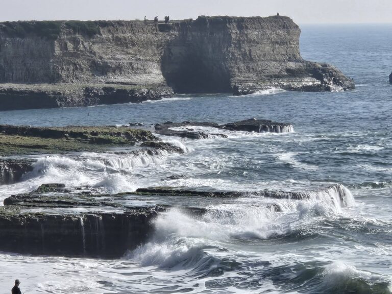 On The Road - Winter Wren - Santa Cruz: Wilder Ranch (1 of 2) 1