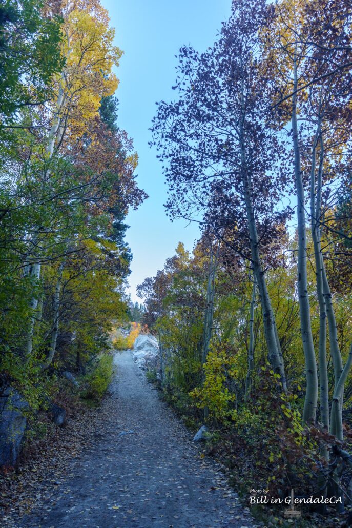 On The Road - 🐾BillinGlendaleCA - Returning to Blue Lake 9
