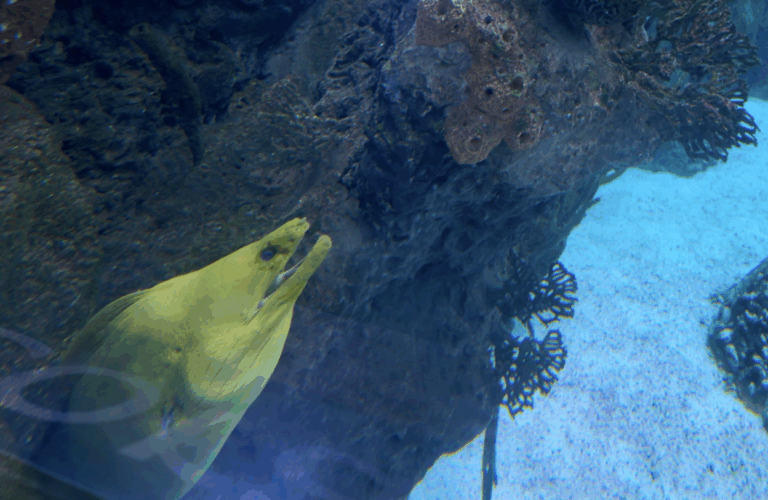 On The Road - ema - Have You Met Chuck? 9