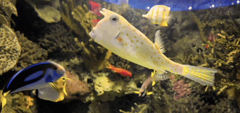 On The Road - ema - Have You Met Chuck? 8