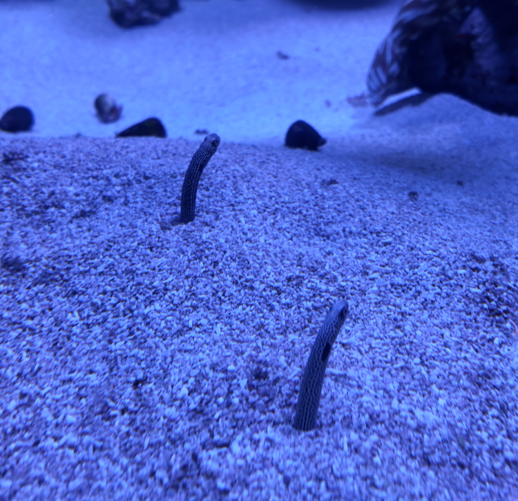 On The Road - ema - Have You Met Chuck? 7