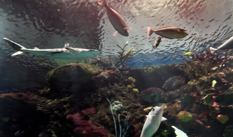 On The Road - ema - Have You Met Chuck? 6