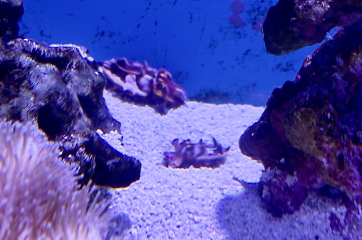 On The Road - ema - Have You Met Chuck? 4