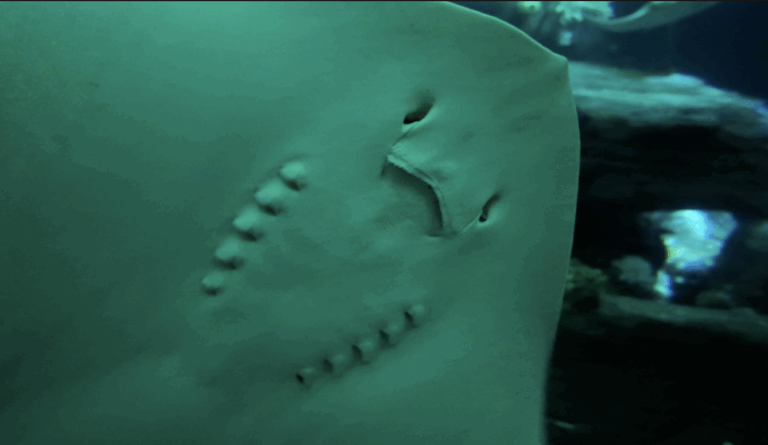 On The Road - ema - Have You Met Chuck? 5