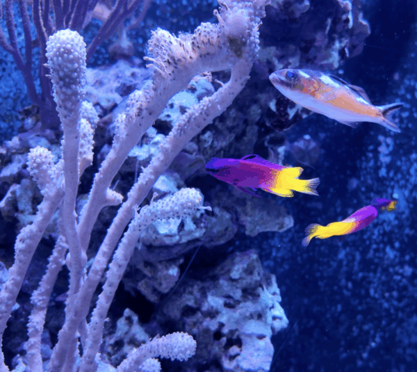 On The Road - ema - Have You Met Chuck? 3