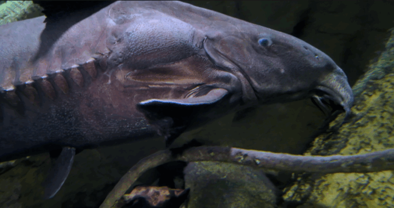 On The Road - ema - Have You Met Chuck? 2