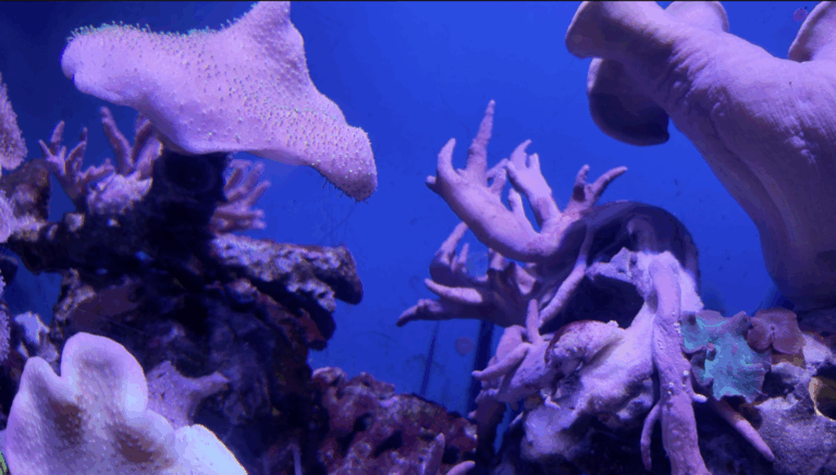 On The Road - ema - Have You Met Chuck? 1