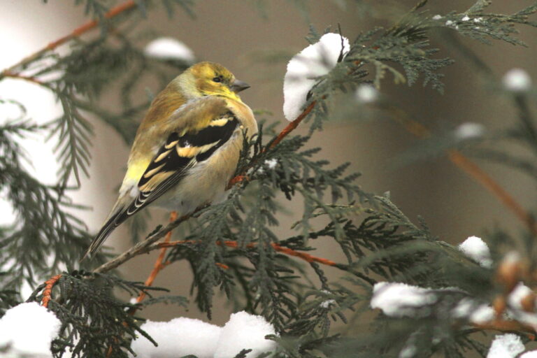 On The Road - pat - Favorite Photos 6