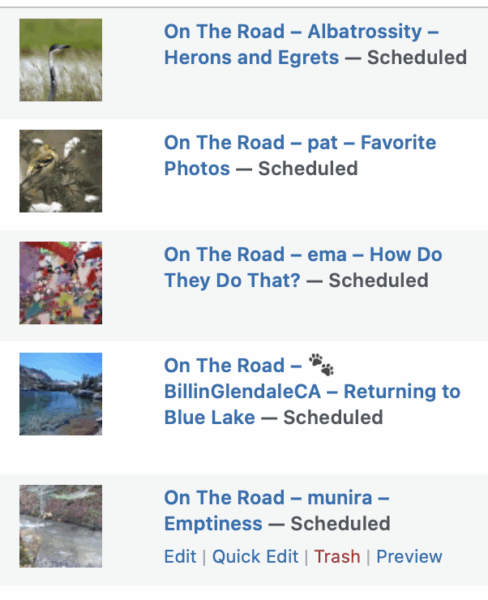 On The Road - Albatrossity - Herons and Egrets 10