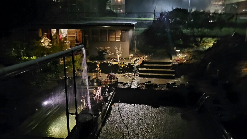 Sunday Morning Garden Chat: More Garden Successes in the PNW 7