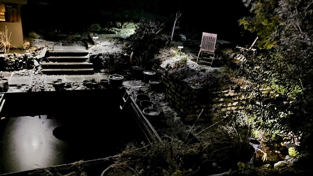 Sunday Morning Garden Chat: More Garden Successes in the PNW 8