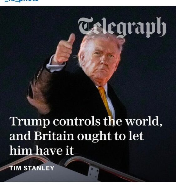 The Lion That Meeped