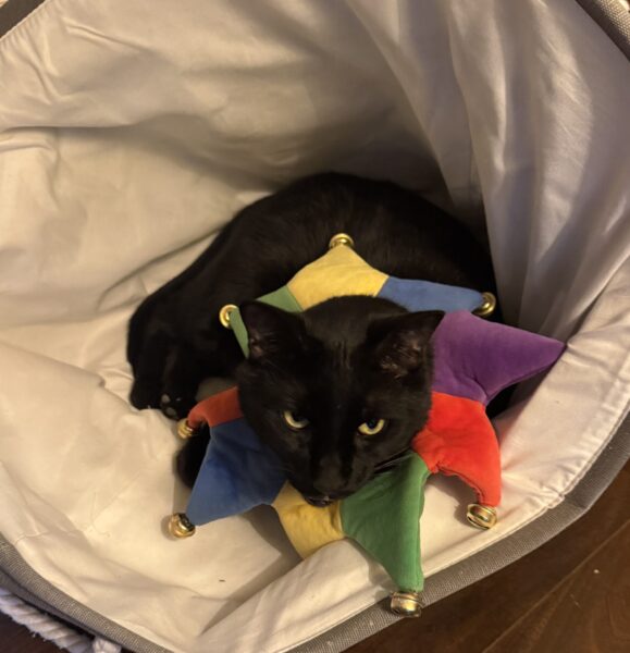 Tuesday Night Open Thread 25