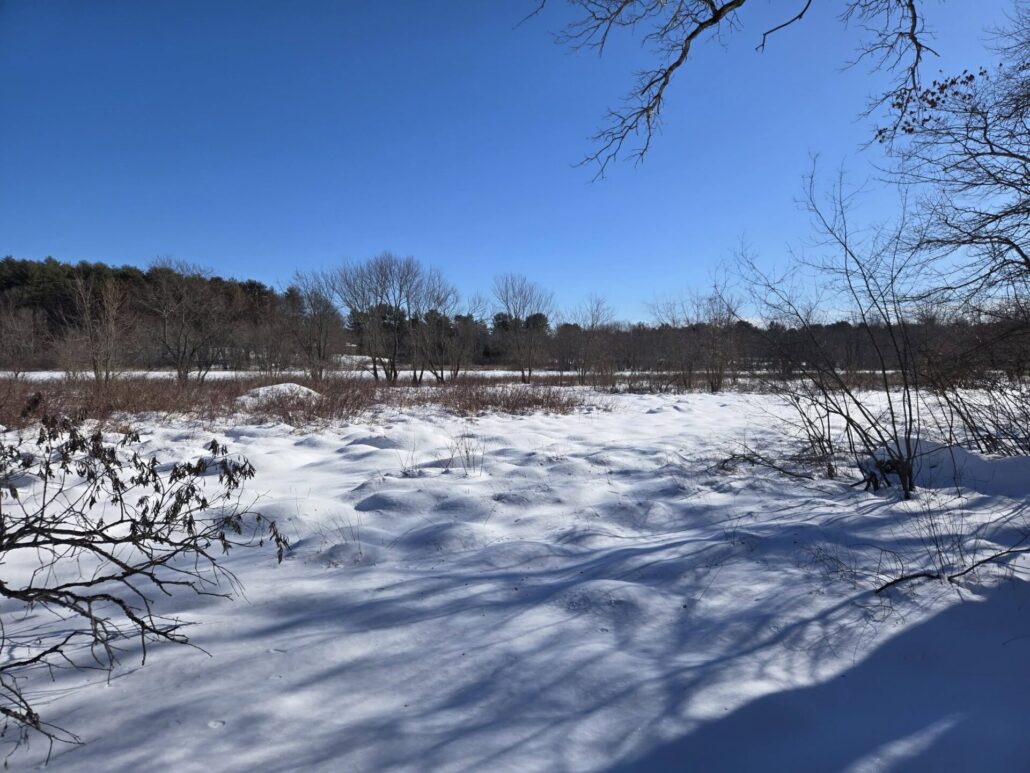 On The Road - Winter Wren - Snowy Trails in Carlisle