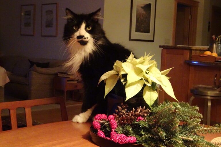 On The Road - pat - Calendar 2020