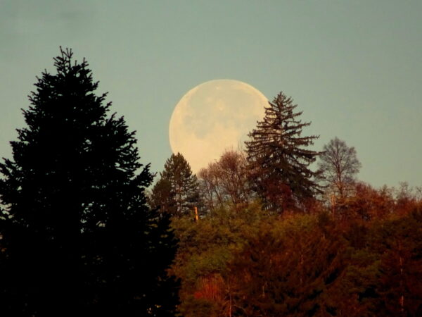 On The Road - pat - 2026 Calendar, part 2, plus eagles 7