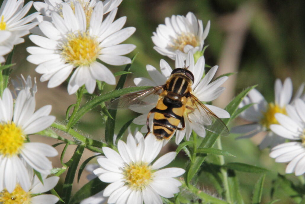 On The Road - pat - Calendar 2020 1