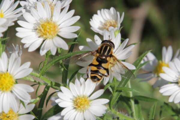 On The Road - pat - Calendar 2020 1